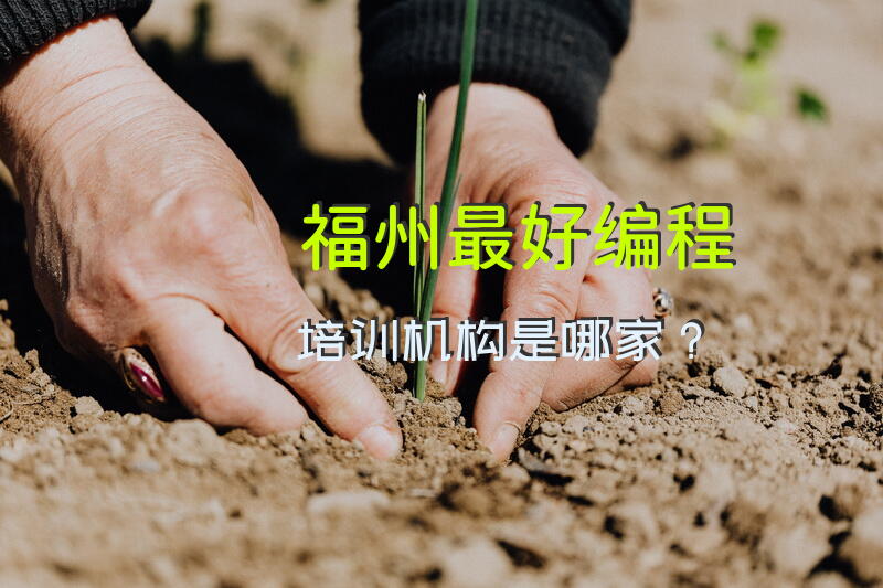 福州最好编程培训机构是哪家？