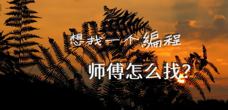 想找一个编程师傅怎么找？