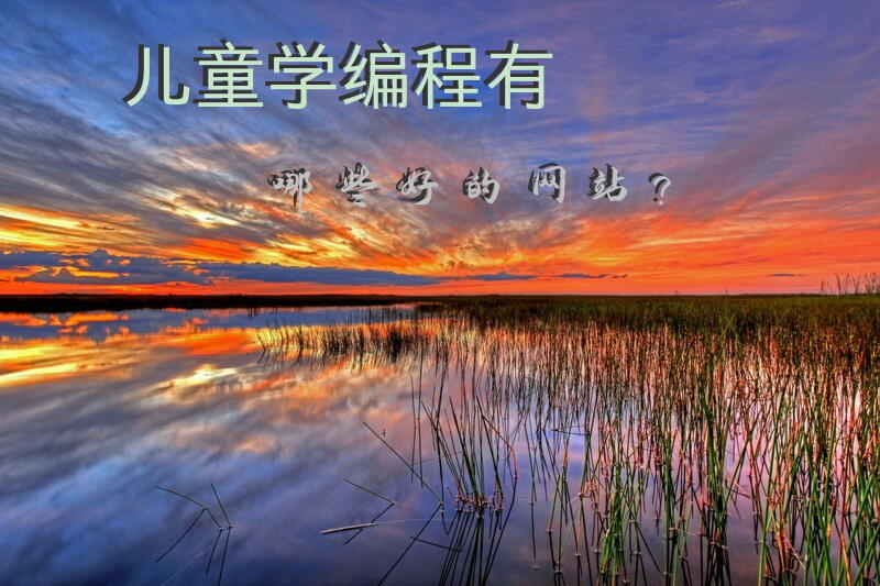 儿童学编程有哪些好的网站？