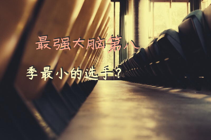 最强大脑第八季最小的选手？