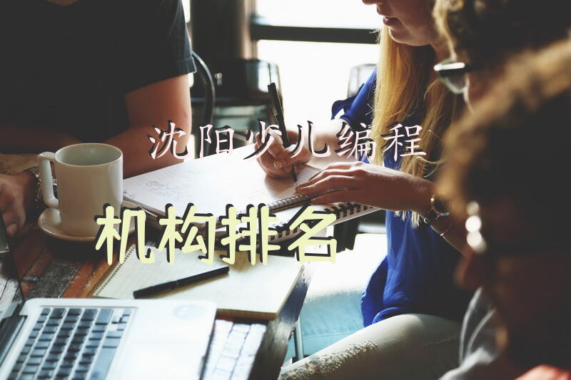 沈阳少儿编程机构排名？