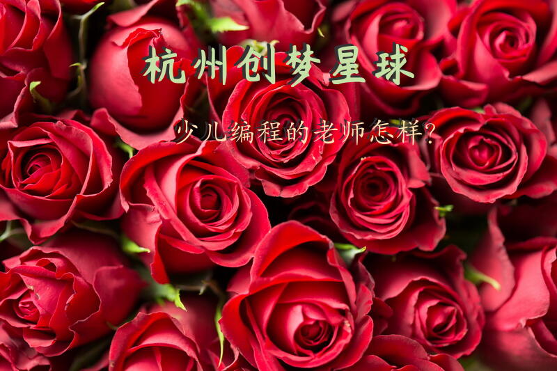 杭州创梦星球少儿编程的老师怎样？