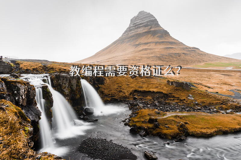 教编程需要资格证么？