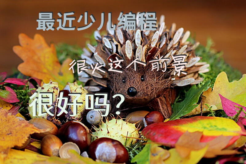 最近少儿编程很火，这个前景很好吗？