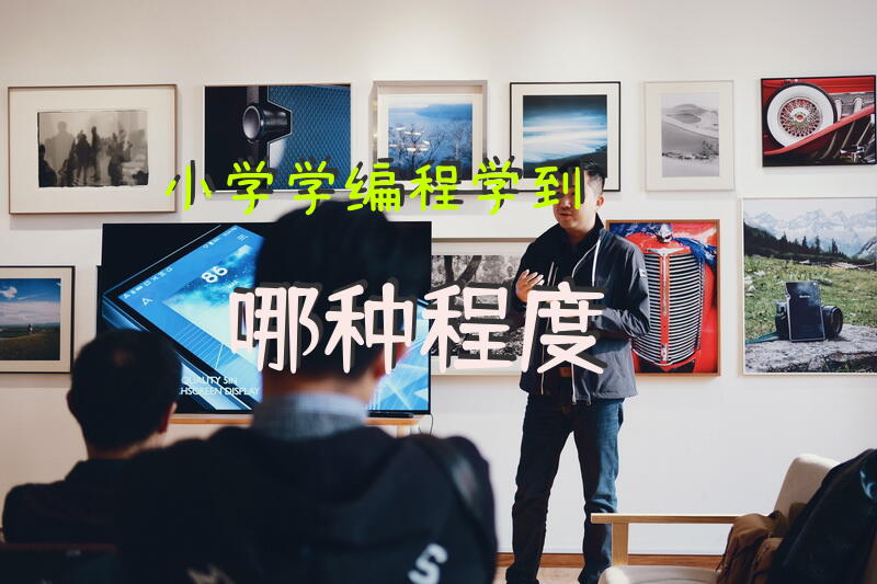 小学学编程学到哪种程度？