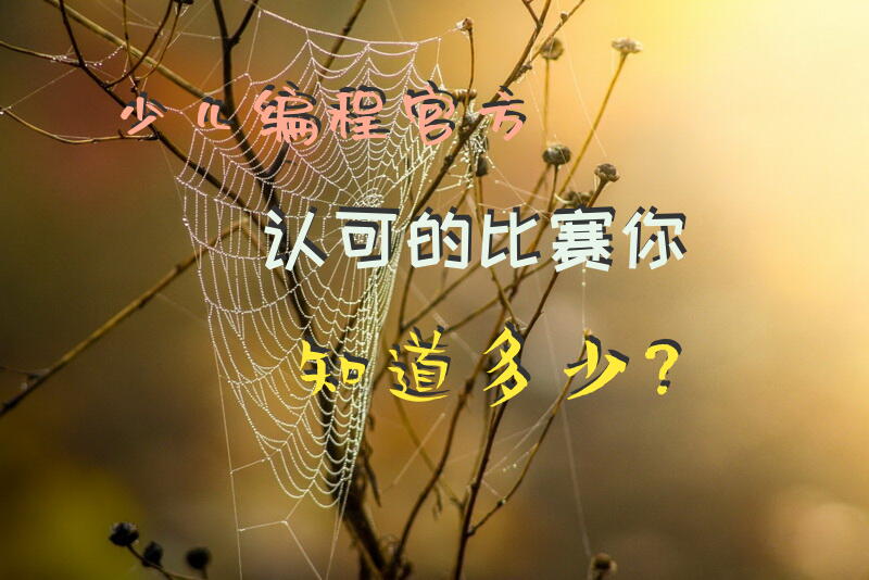 少儿编程官方认可的比赛，你知道多少？