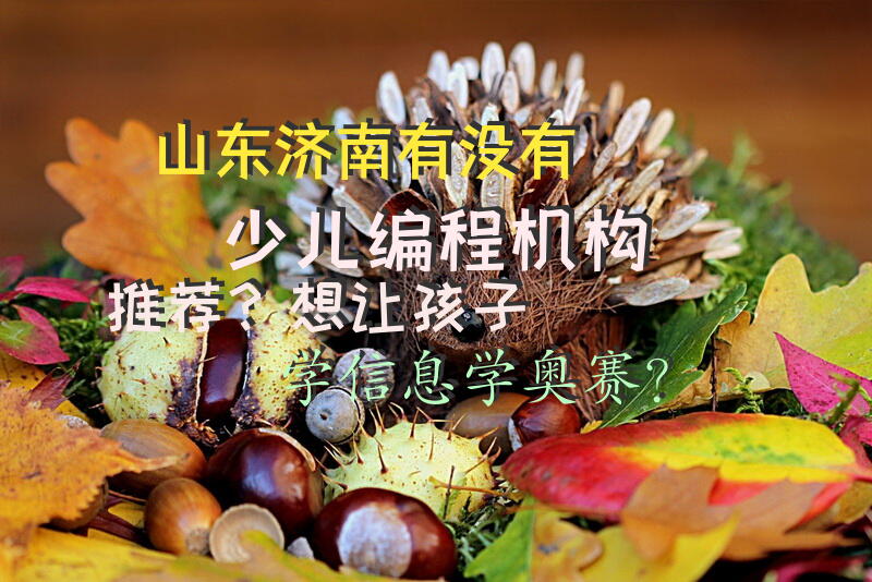 山东济南有没有少儿编程机构推荐？想让孩子学信息学奥赛？