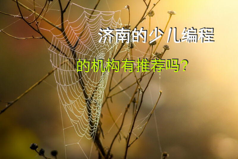 济南的少儿编程的机构有推荐吗？
