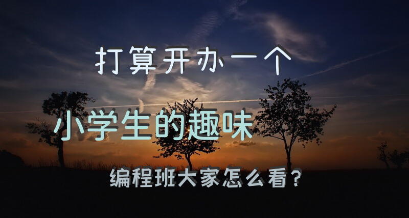 打算开办一个小学生的趣味编程班，大家怎么看？