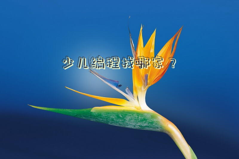 少儿编程找哪家？