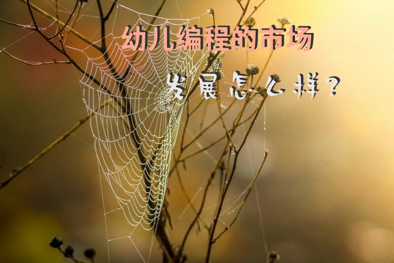 幼儿编程的市场发展怎么样？