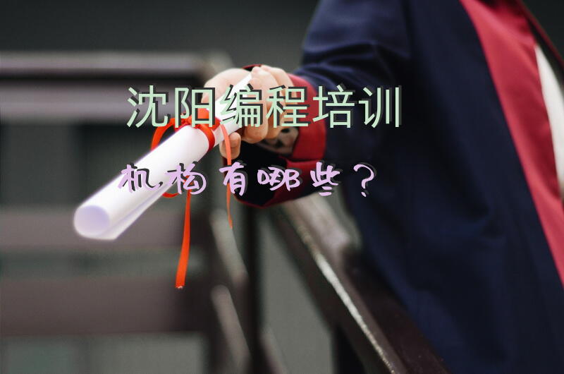 沈阳编程培训机构有哪些？