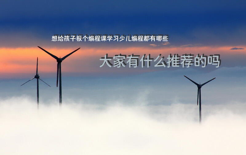 想给孩子报个编程课学习，少儿编程都有哪些？大家有什么推荐的吗？