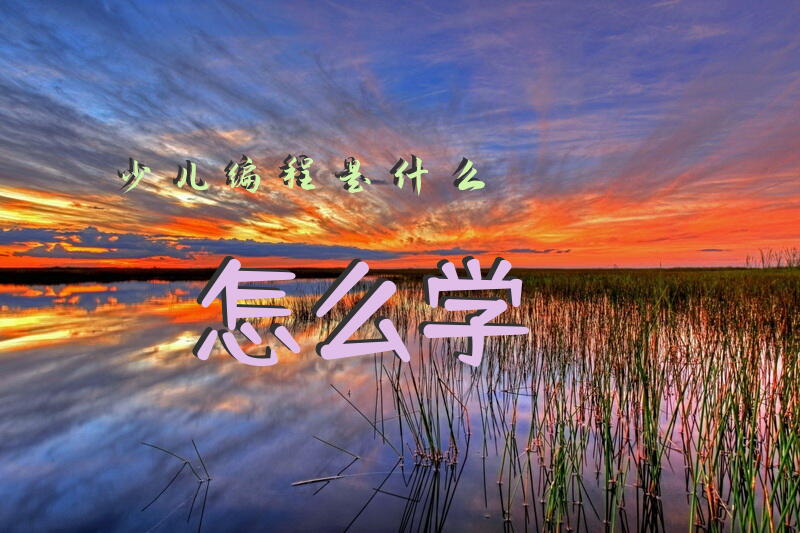 少儿编程是什么，怎么学？
