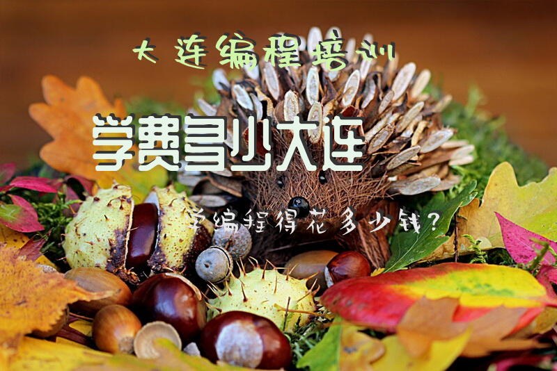 大连编程培训学费多少?大连学编程得花多少钱？