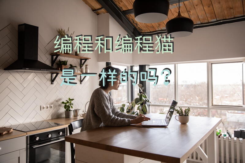 编程和编程猫是一样的吗？