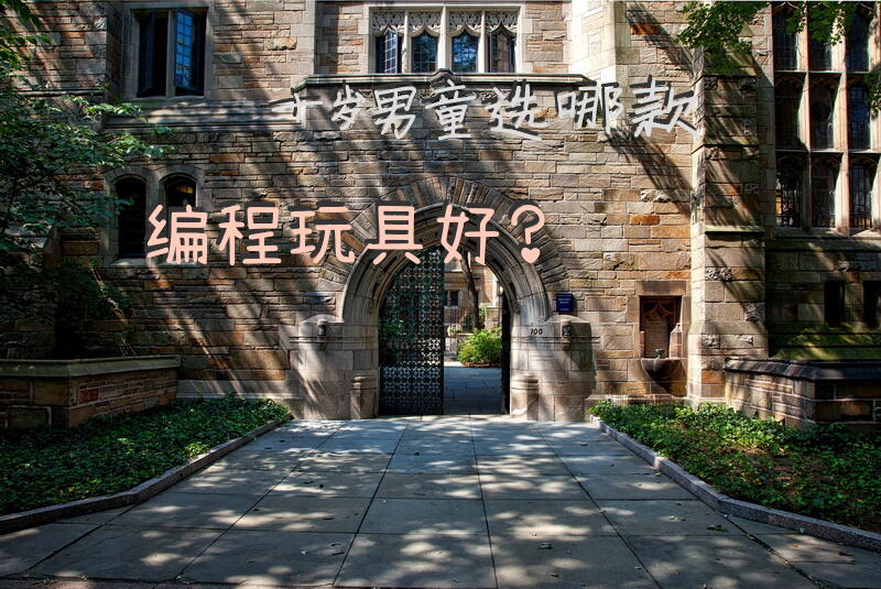 十岁男童选哪款编程玩具好？