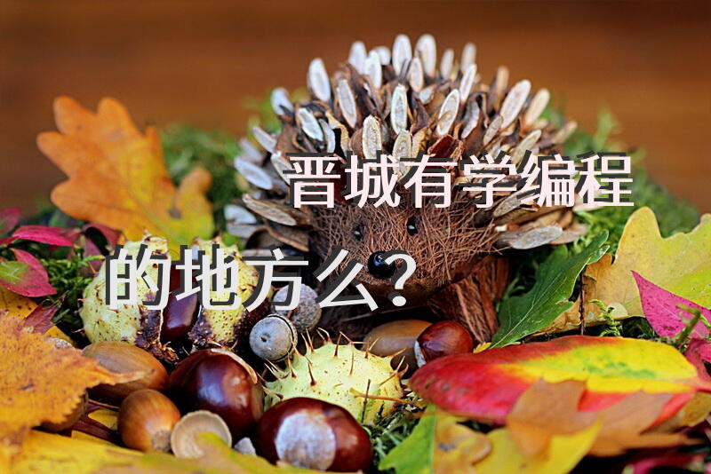 晋城有学编程的地方么？