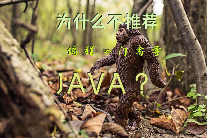 为什么不推荐编程入门者学JAVA？