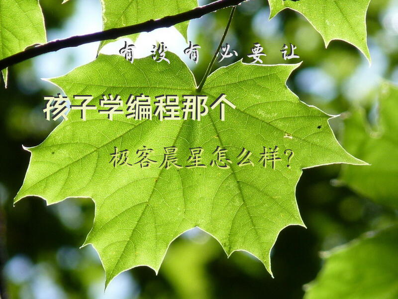 有没有必要让孩子学编程，那个极客晨星怎么样？