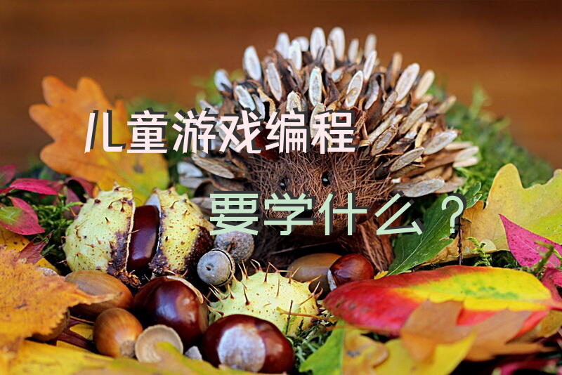 儿童游戏编程要学什么？