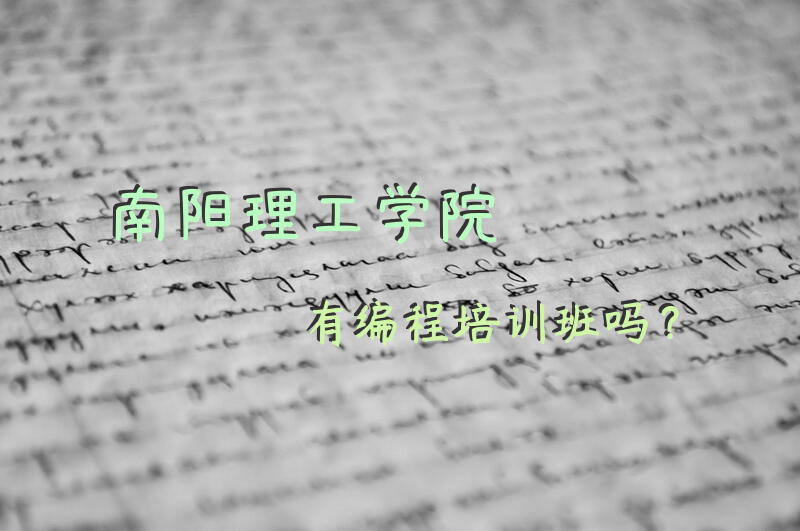 南阳理工学院有编程培训班吗？