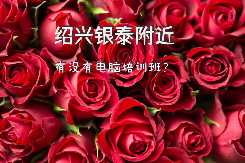 绍兴银泰附近有没有电脑培训班？