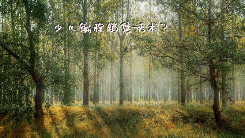 少儿编程销售话术？