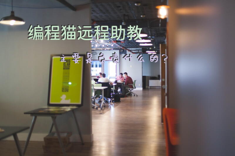 编程猫远程助教主要是负责什么的？