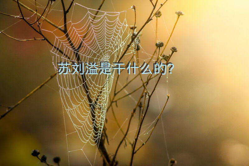 苏刘溢是干什么的？