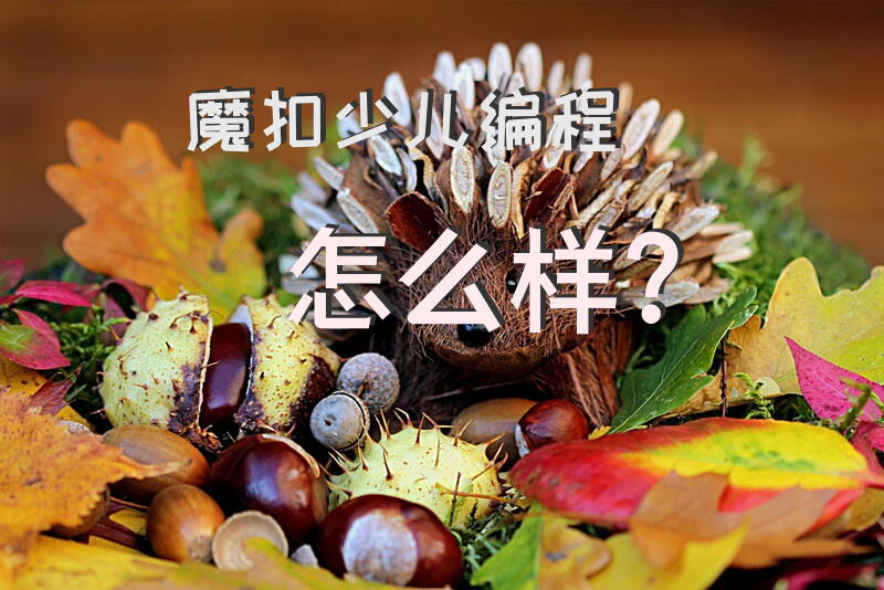 魔扣少儿编程怎么样？
