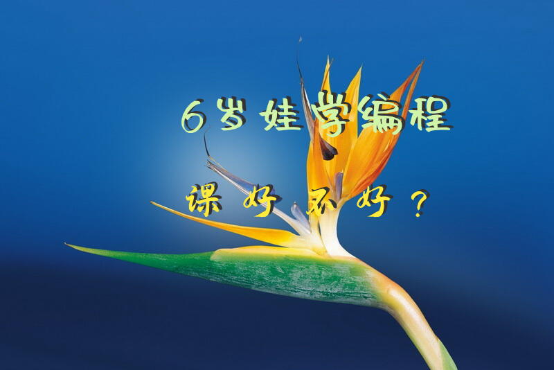 6岁娃学编程课好不好？