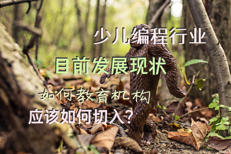 少儿编程行业目前发展现状如何，教育机构应该如何切入？