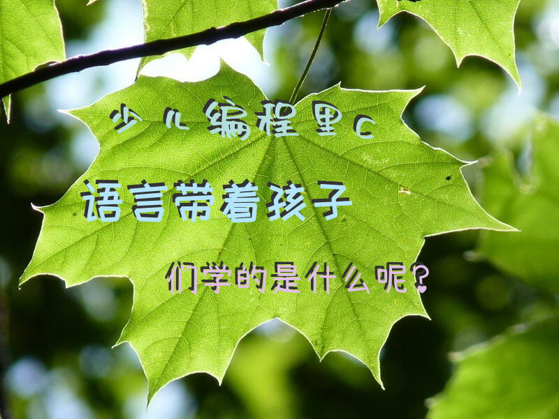 少儿编程里，c语言带着孩子们学的是什么呢？