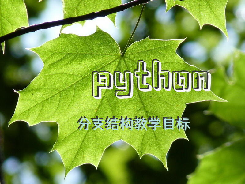 python分支结构教学目标？