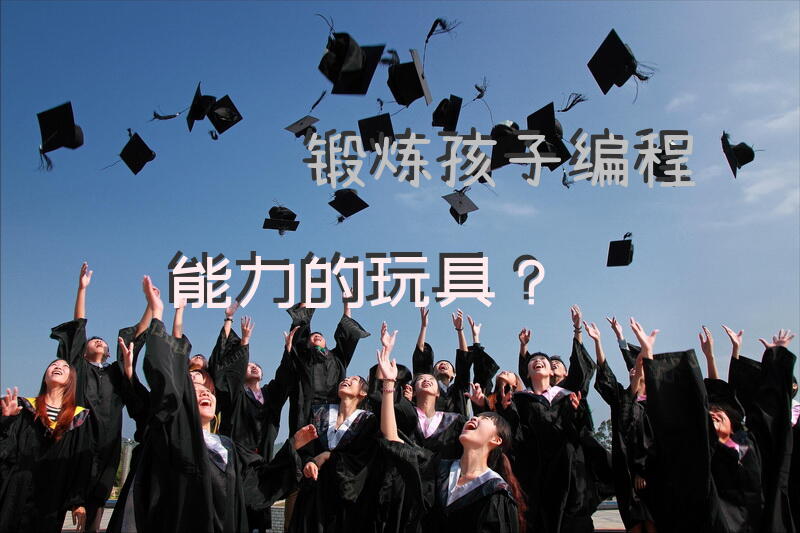 锻炼孩子编程能力的玩具？