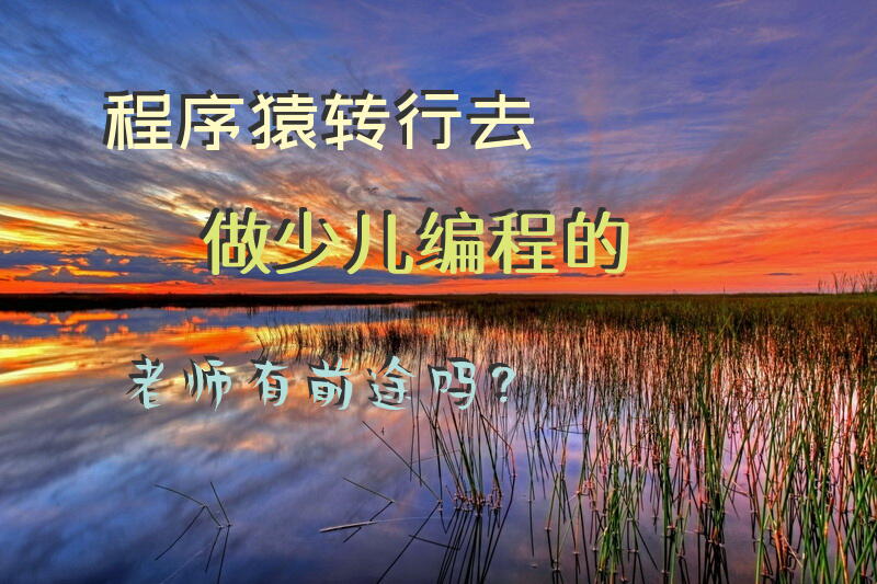 程序猿转行去做少儿编程的老师有前途吗？