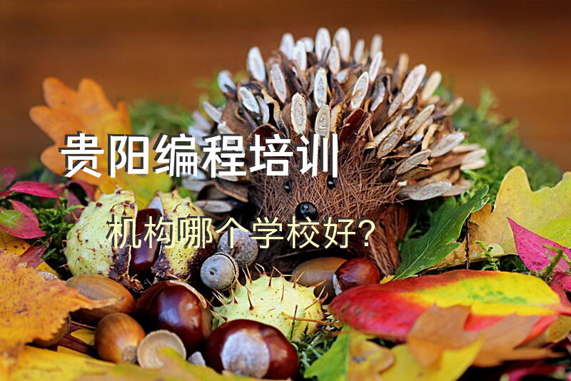 贵阳编程培训机构哪个学校好？