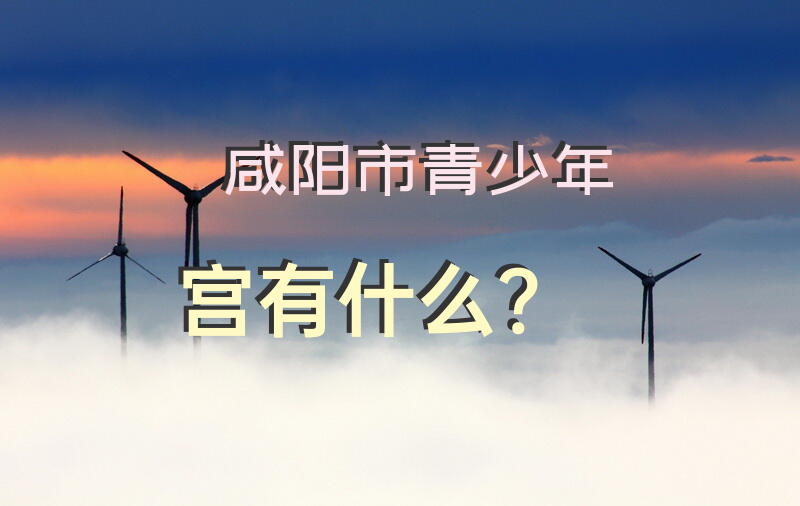 咸阳市青少年宫有什么？