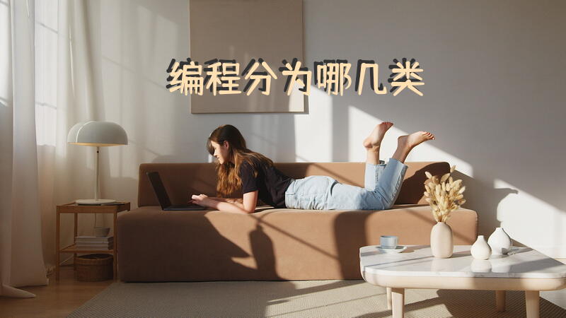 编程分为哪几类？