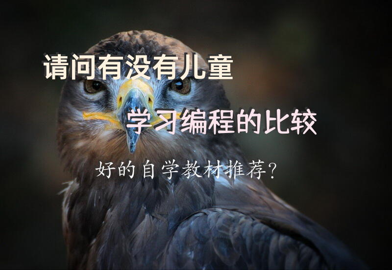 请问有没有儿童学习编程的比较好的自学教材推荐？