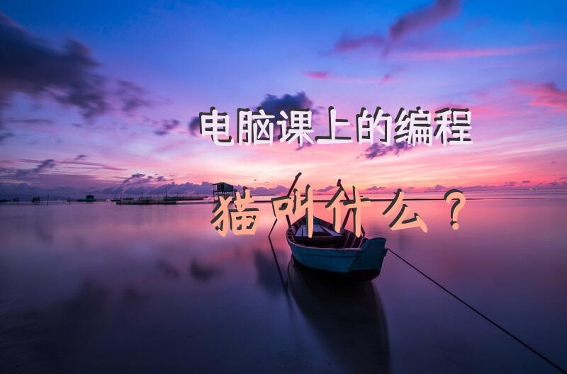 电脑课上的编程猫叫什么？