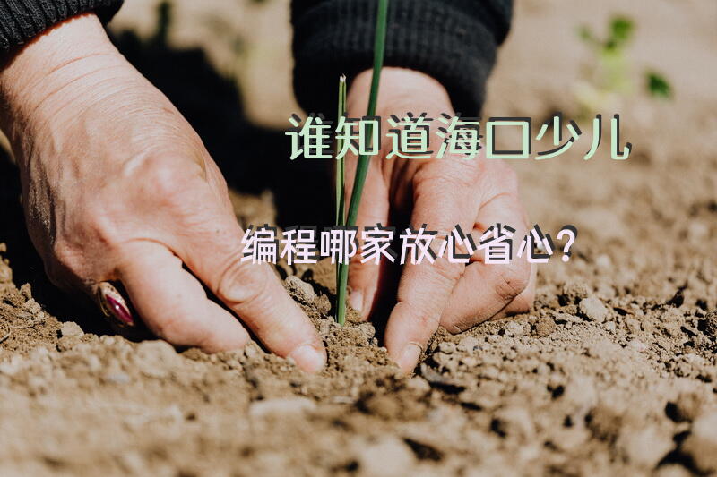 谁知道，海口少儿编程哪家放心省心？