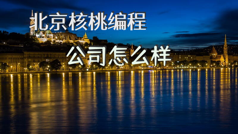 北京核桃编程公司怎么样？