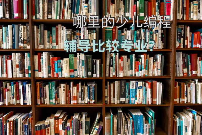 哪里的少儿编程辅导比较专业？