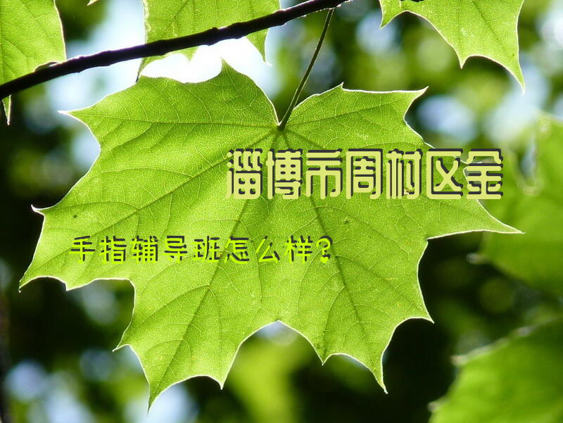 淄博市周村区金手指辅导班怎么样？