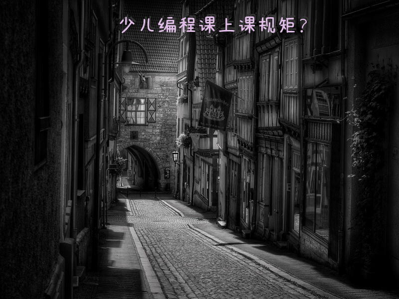 少儿编程课上课规矩？