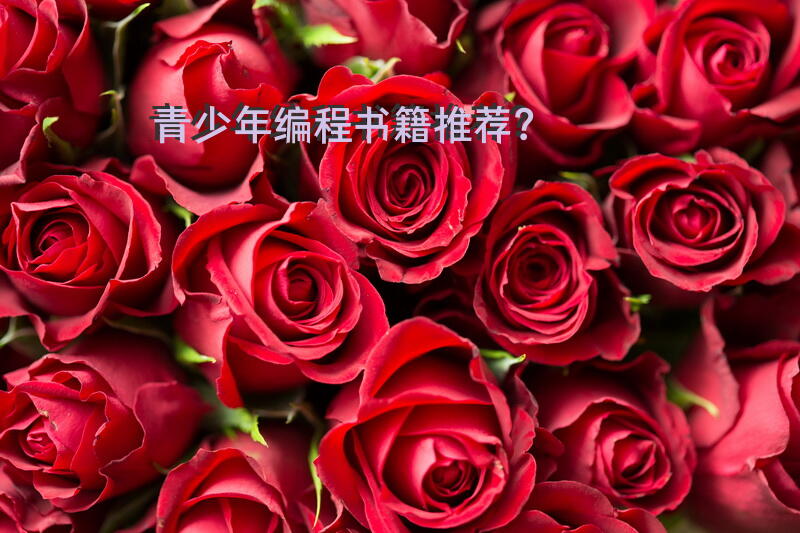 青少年编程书籍推荐？