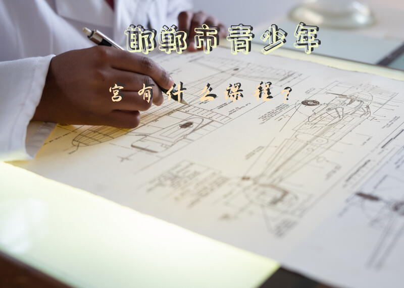 邯郸市青少年宫有什么课程？