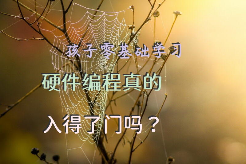 孩子零基础学习硬件编程真的入得了门吗？